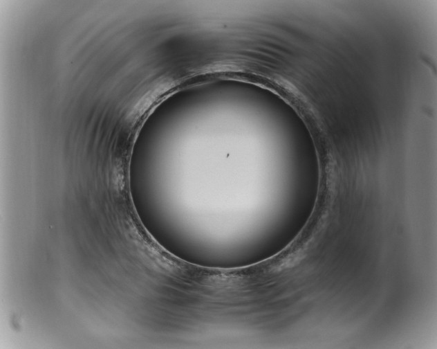 X0000099510929200805151456