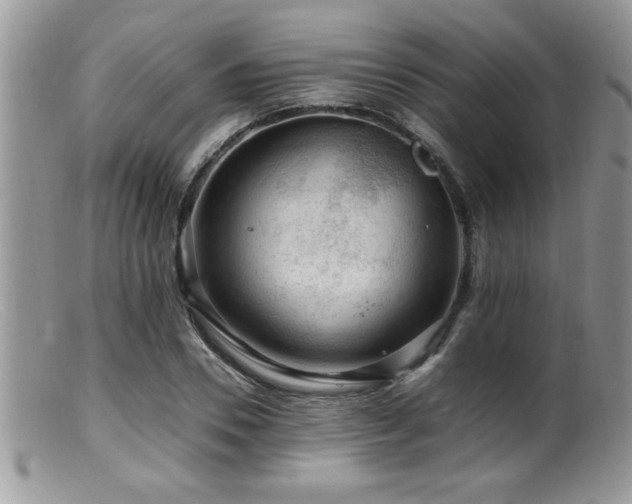 X0000099510930200805151456