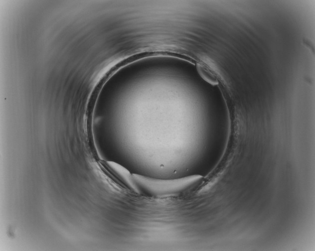 X0000099510932200805151456