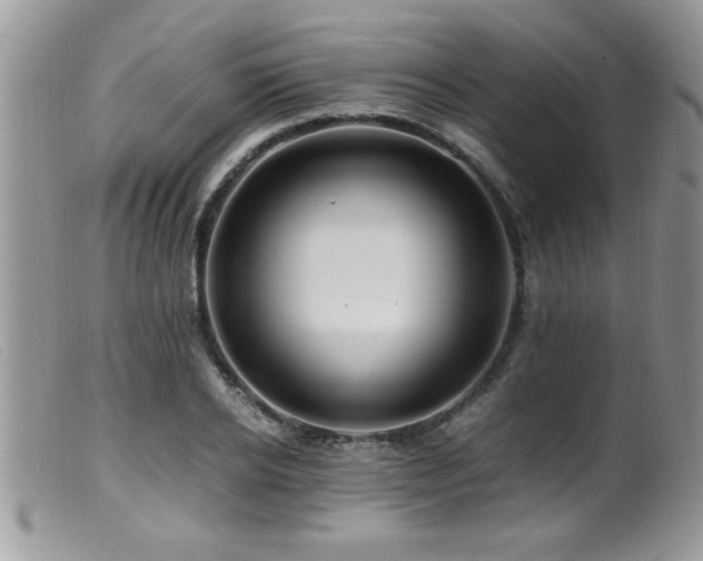 X0000099510934200805151456