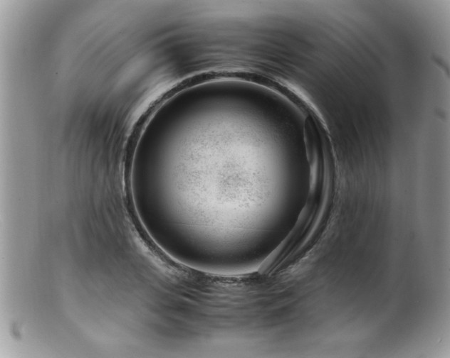 X0000099510935200805151456