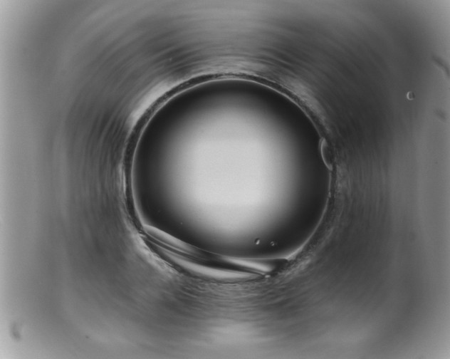 X0000099510936200805151456