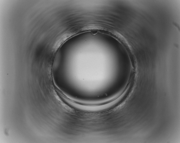 X0000099510937200805151456