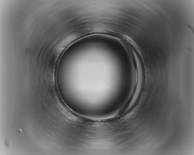 X0000099510938200805151456