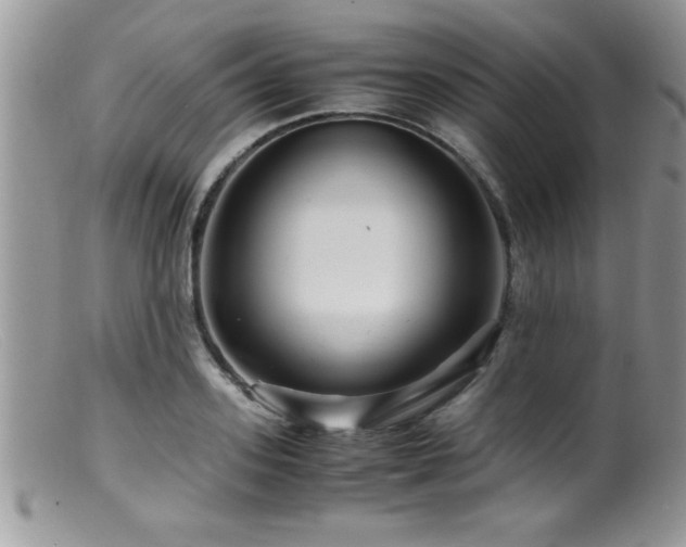 X0000099510939200805151456