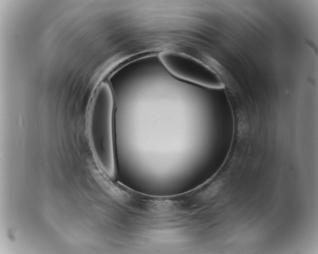 X0000099510940200805151456