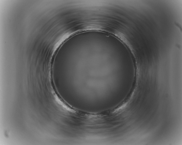X0000099510941200805151456