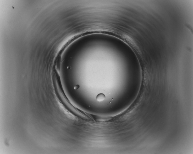 X0000099510942200805151456