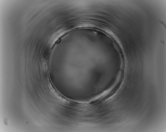 X0000099510945200805151456