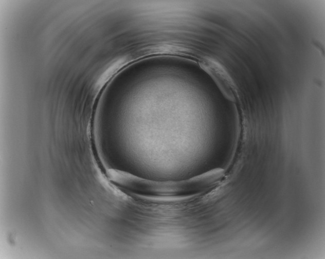 X0000099510946200805151456