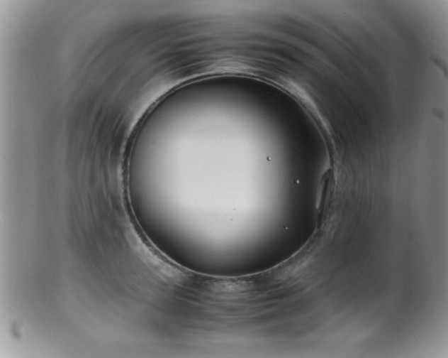 X0000099510947200805151456