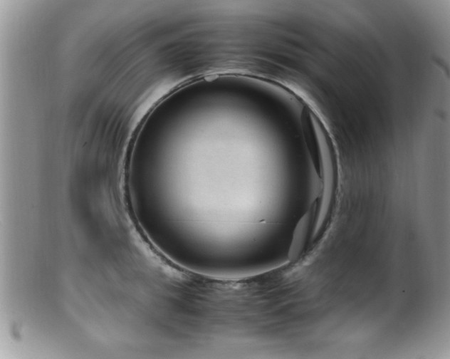 X0000099510949200805151456