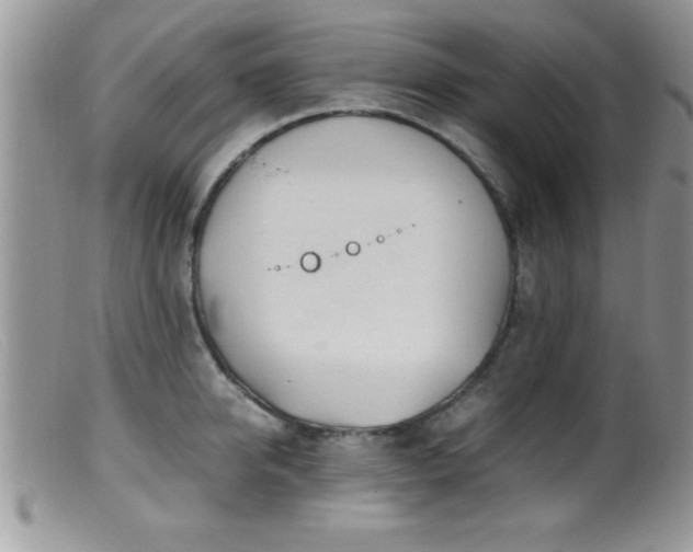 X0000099510950200805151456
