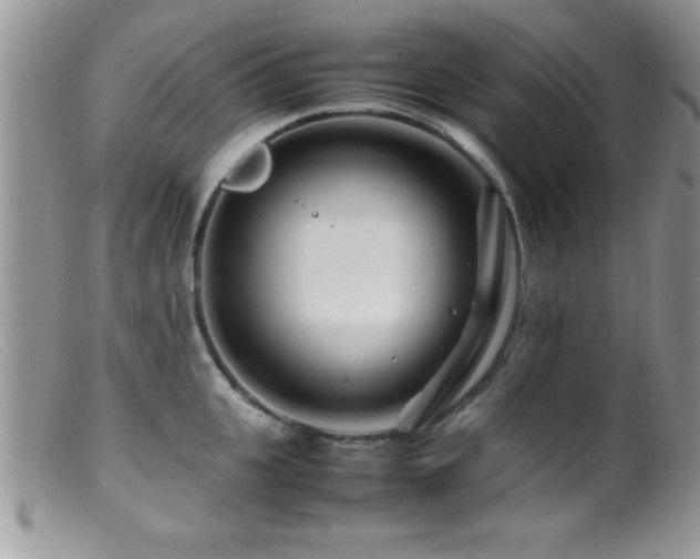 X0000099510951200805151456