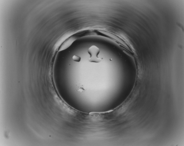 X0000099510952200805151456