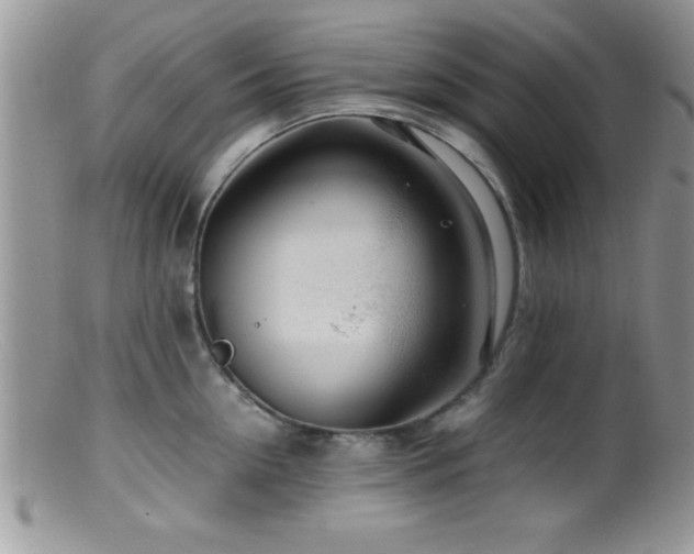 X0000099510954200805151456