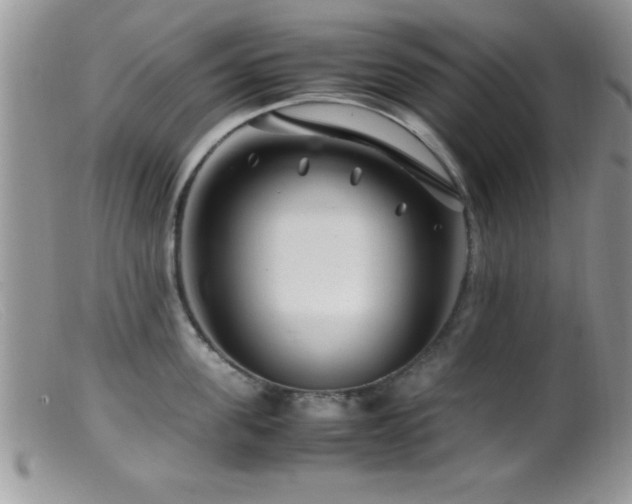 X0000099510955200805151456