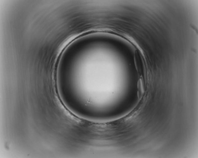 X0000099510959200805151456
