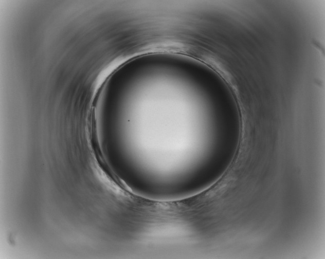X0000099510960200805151456