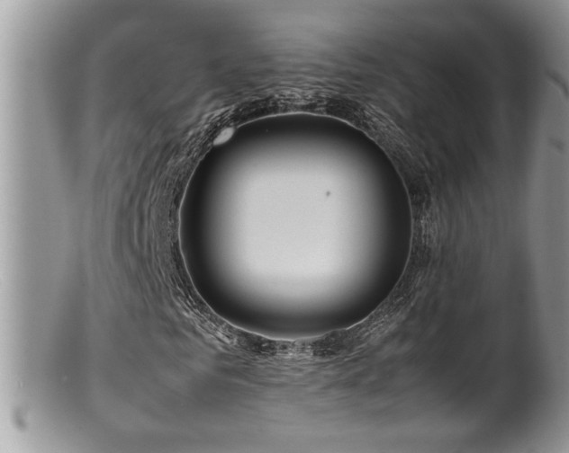 X0000099510961200805151455