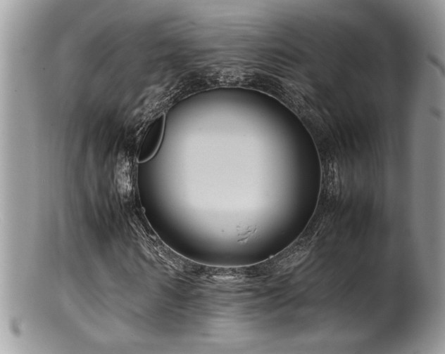 X0000099510962200805151455