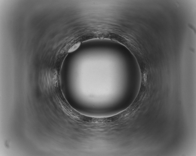 X0000099510963200805151455