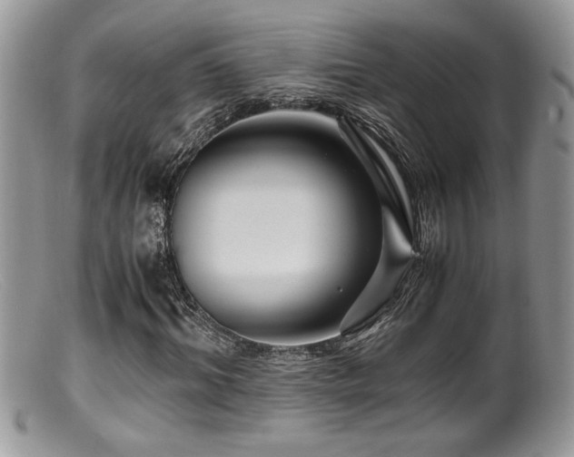 X0000099510964200805151455