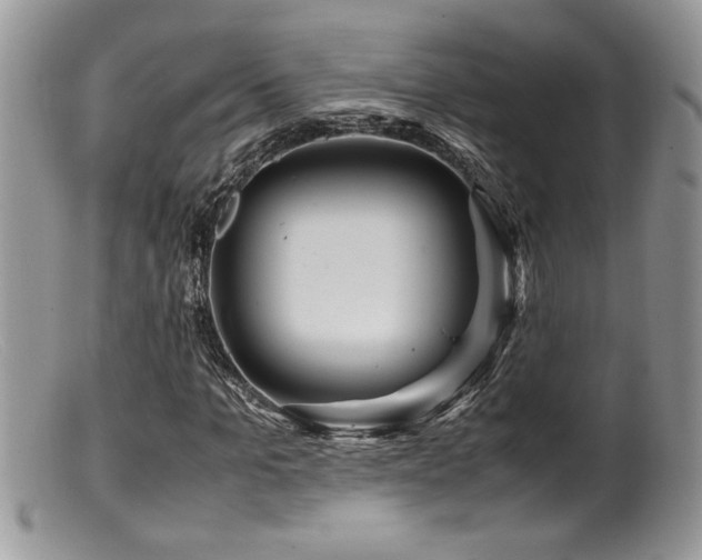 X0000099510965200805151455