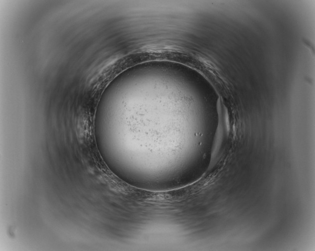 X0000099510966200805151455