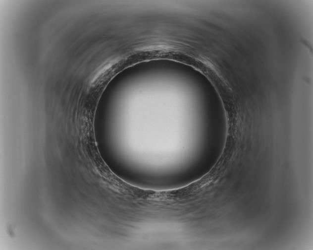 X0000099510967200805151455