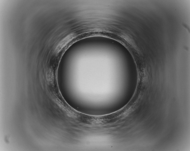 X0000099510969200805151455