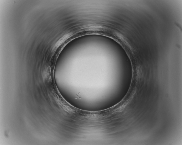 X0000099510970200805151455