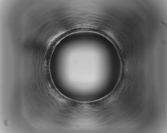 X0000099510971200805151455