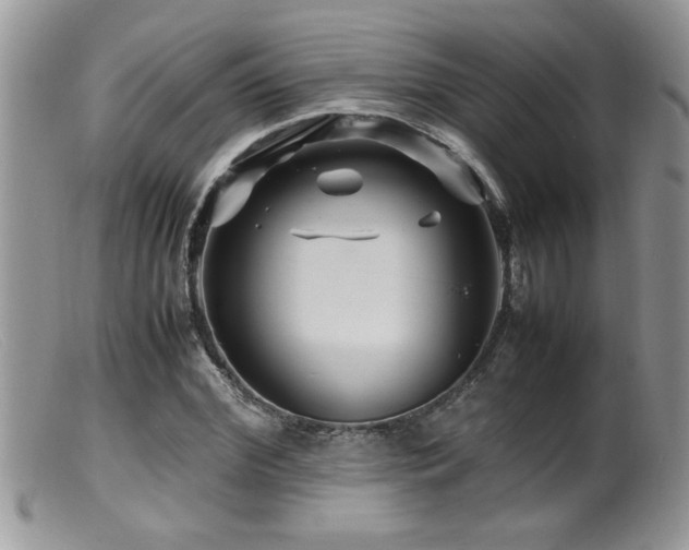 X0000099510972200805151455