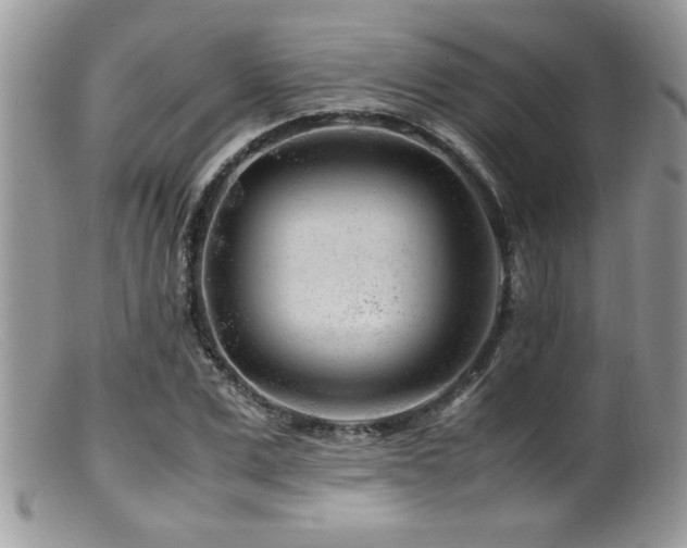 X0000099510975200805151455