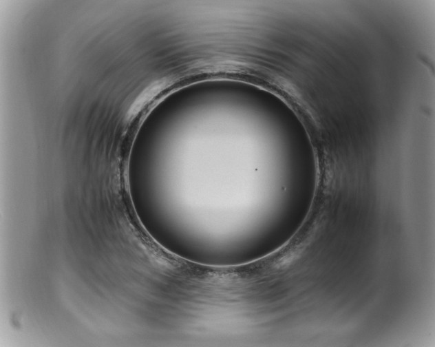 X0000099510978200805151455