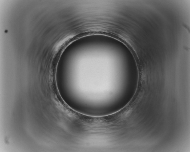 X0000099510979200805151455