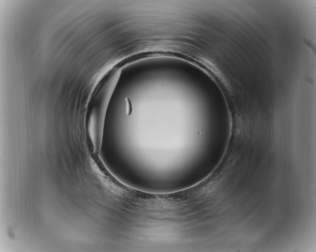 X0000099510980200805151455