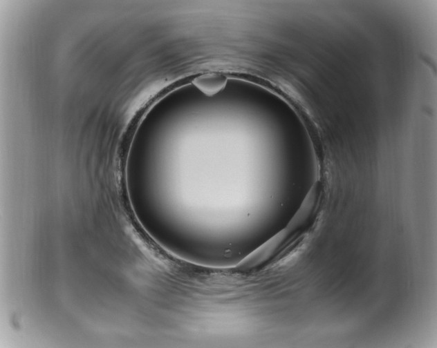 X0000099510981200805151455