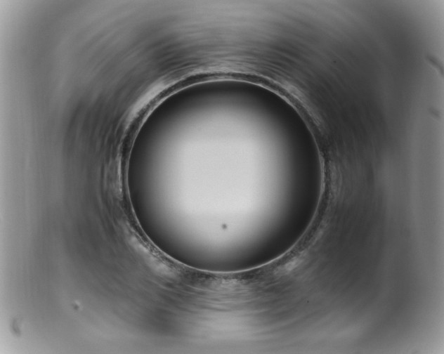 X0000099510982200805151455