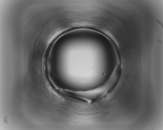 X0000099510983200805151455