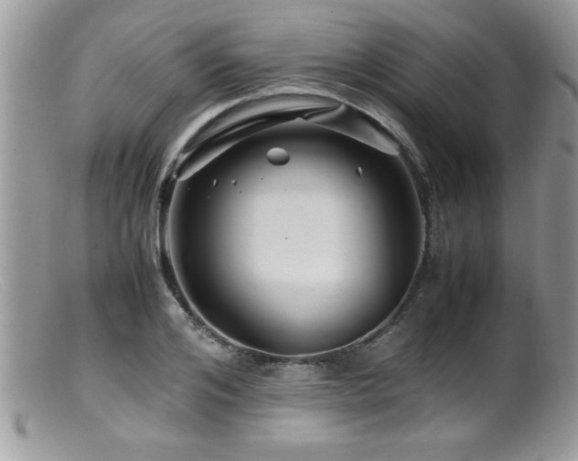 X0000099510984200805151455
