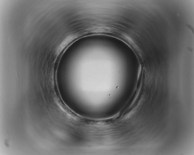X0000099510986200805151455