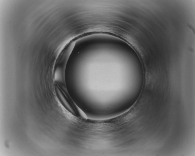 X0000099510988200805151455