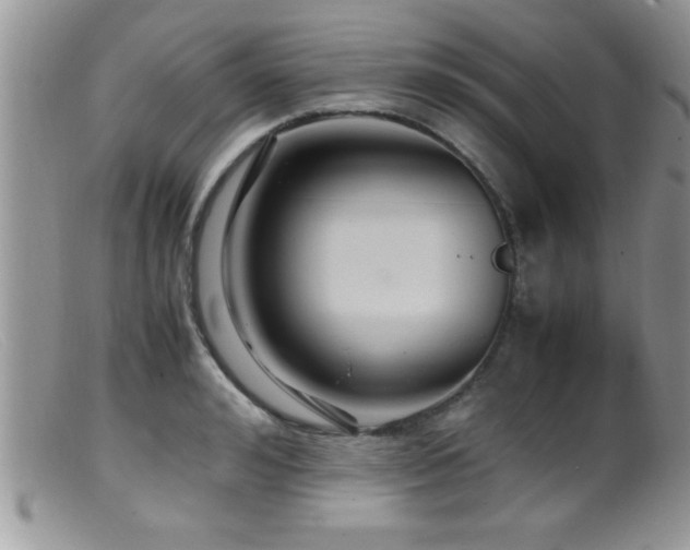 X0000099510992200805151455
