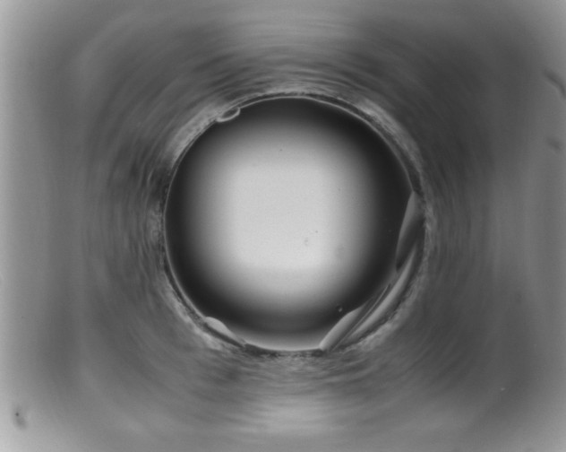 X0000099510993200805151455