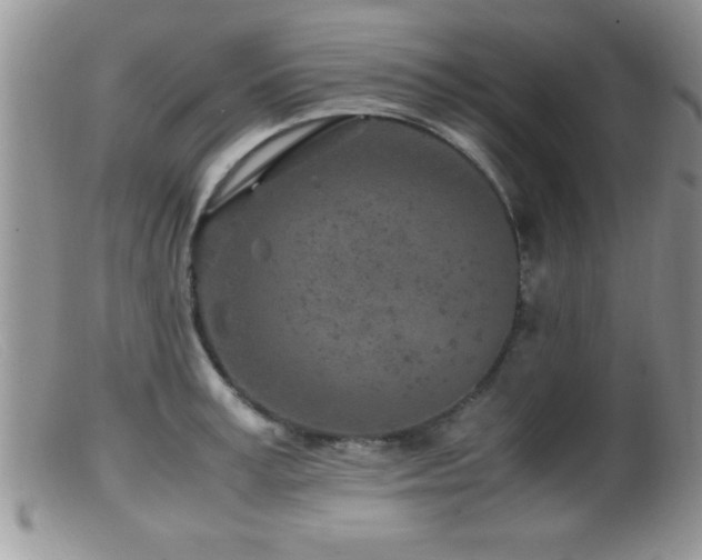 X0000099510995200805151455