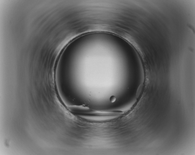 X0000099510996200805151455