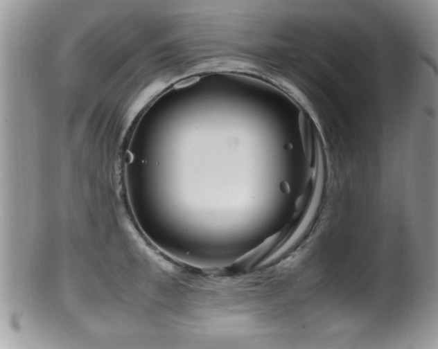 X0000099510997200805151455