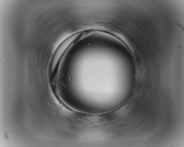 X0000099510999200805151455